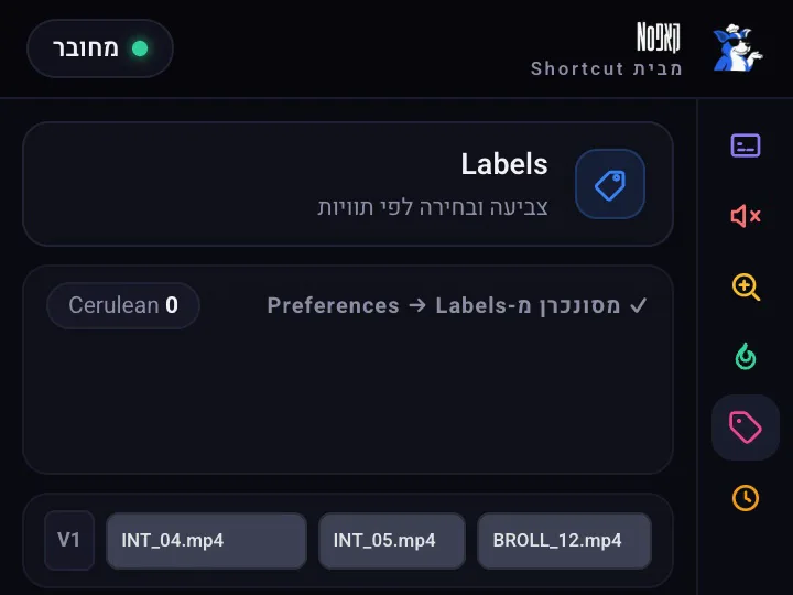 בחירה וצביעה קבוצתית של קליפים לפי תווית
